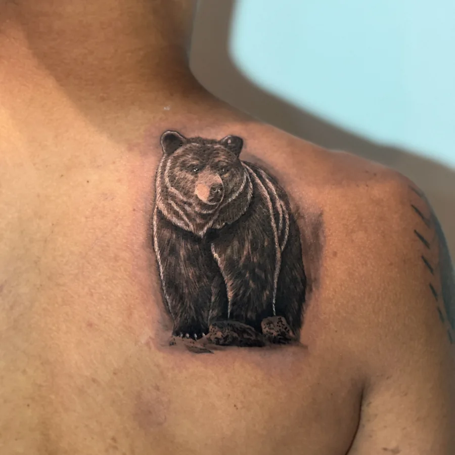 A mesma omoplata depois da cobertura, com um urso realista em preto e cinza